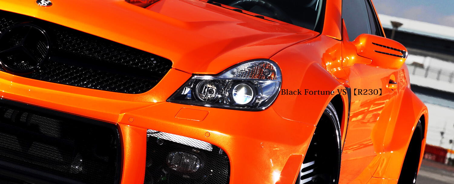 Take a look at our globally recognized custom car(s)【VeilSide】