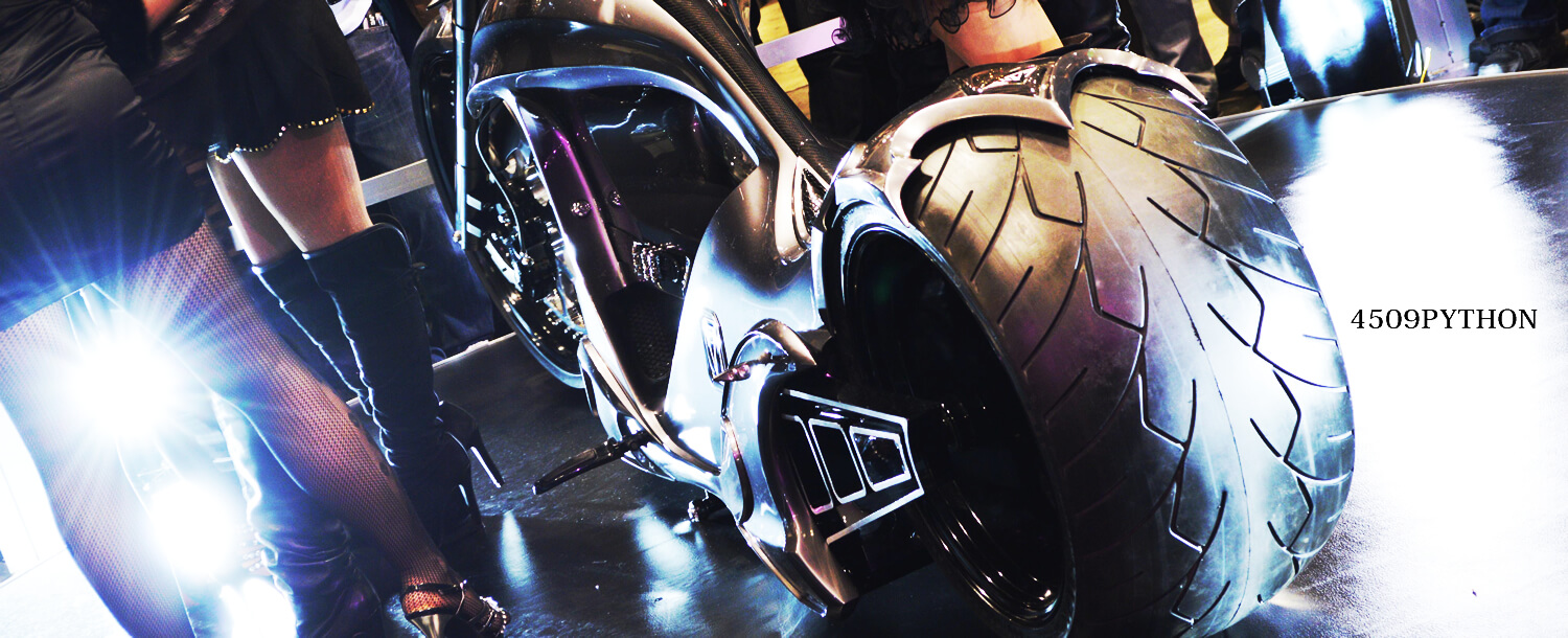 VeilSide 2008カタログ&プライスリスト VeilSide 2008カタログ&プライスリスト LATEST MODEL｜VeilSide Co